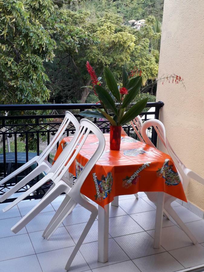 Holidays in Martinique - Ravenala Sainte-Anne Extérieur photo