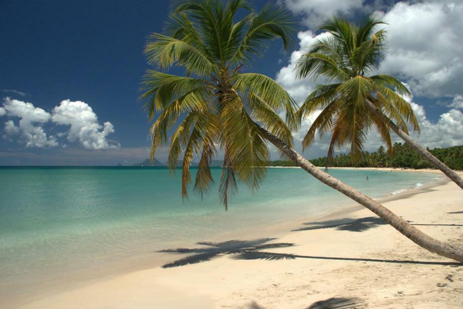 Holidays in Martinique - Ravenala Sainte-Anne Extérieur photo