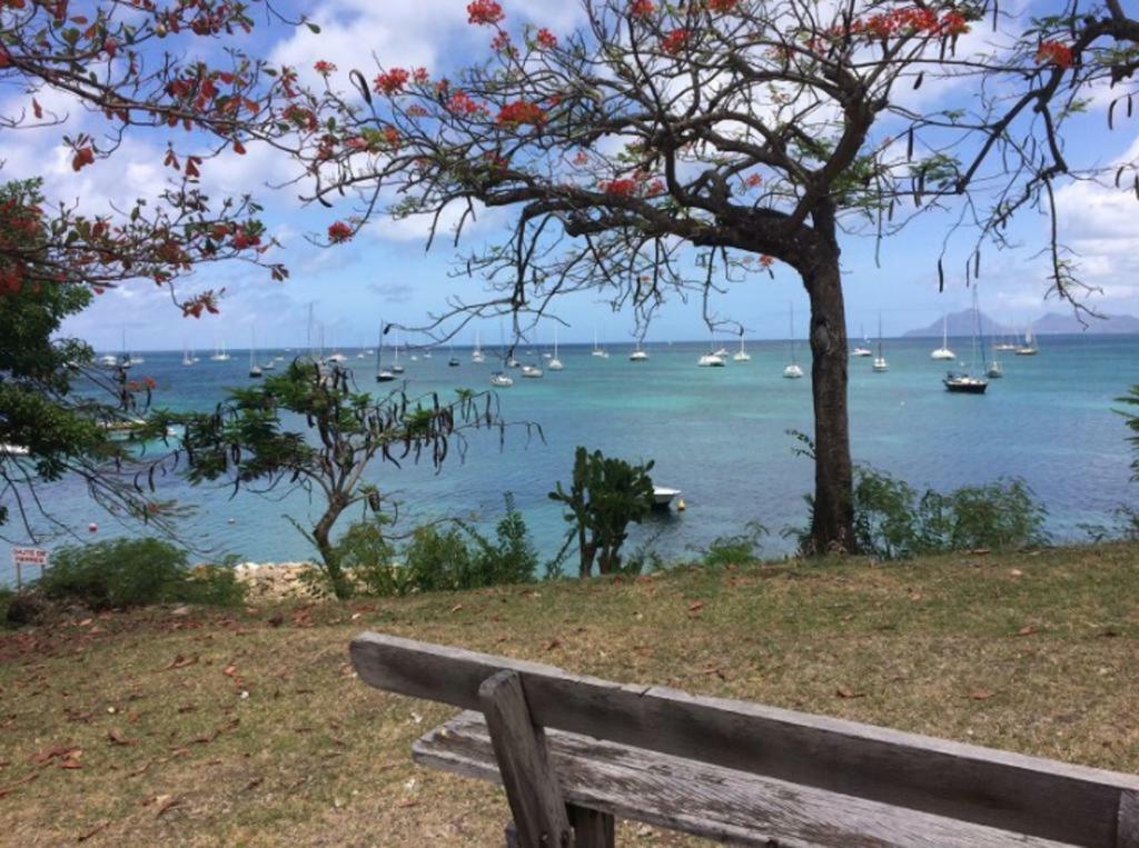 Holidays in Martinique - Ravenala Sainte-Anne Extérieur photo